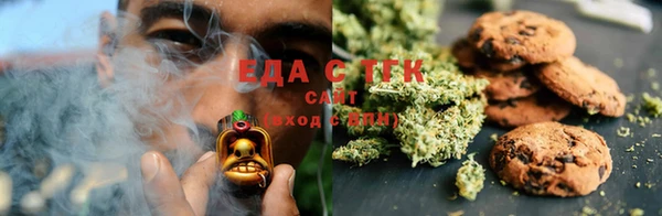 индика Алексин