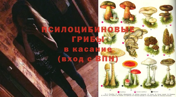индика Алексин