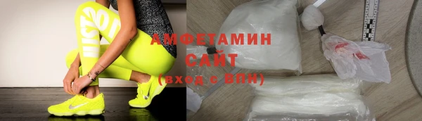 индика Алексин