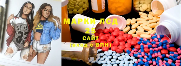 индика Алексин