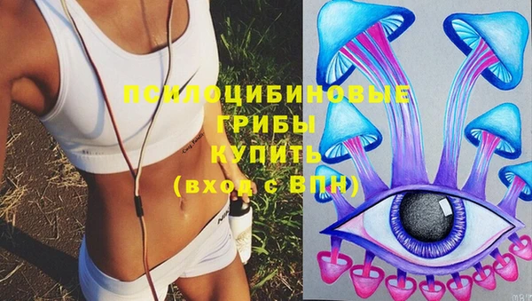 индика Алексин
