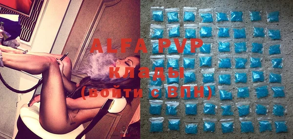индика Алексин